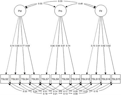 An Evaluation of the Psychometric Properties of the Temporal Satisfaction With Life Scale